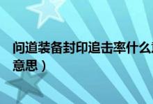 問道裝備封印追擊率什么意思（問道裝備封印追擊率是什么意思）