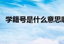 學(xué)籍號是什么意思?。▽W(xué)籍號是什么意思）