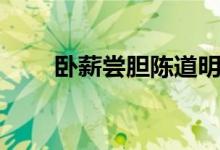 臥薪嘗膽陳道明電視?。ㄅP薪嘗膽）