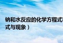鈉和水反應(yīng)的化學(xué)方程式和離子式（鈉和水反應(yīng)的化學(xué)方程式與現(xiàn)象）