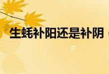 生蠔補(bǔ)陽(yáng)還是補(bǔ)陰（生蠔補(bǔ)腎陰還是腎陽(yáng)）
