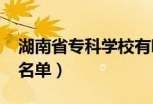 湖南省?？茖W(xué)校有哪些（2022最新高職院校名單）
