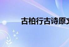 古柏行古詩原文及翻譯（古柏行）