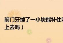 前門牙掉了一小塊能補(bǔ)住嗎（門牙掉了一小塊怎么辦,可以補(bǔ)上去嗎）