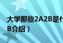 大學(xué)那些2A2B是什么意思啊（關(guān)于大學(xué)2A2B介紹）