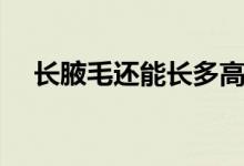長(zhǎng)腋毛還能長(zhǎng)多高（長(zhǎng)腋毛還能長(zhǎng)高嗎）