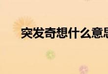 突發(fā)奇想什么意思（突發(fā)奇想的含義）