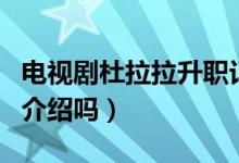 電視劇杜拉拉升職記演員表(有這部劇的詳細介紹嗎)