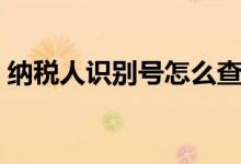 納稅人識(shí)別號(hào)怎么查（納稅人識(shí)別號(hào)如何查）