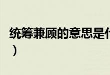 統(tǒng)籌兼顧的意思是什么（有志不在年高的含義）