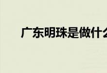 廣東明珠是做什么的(廣東明珠介紹)