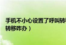 手機不小心設置了呼叫轉移怎么辦（手機不小心設置了呼叫轉移咋辦）