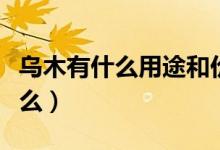 烏木有什么用途和價值（烏木用途和價值是什么）