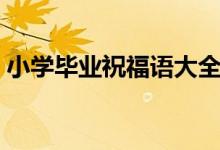 小學畢業(yè)祝福語大全簡短（小學畢業(yè)祝福語）