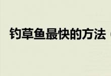 釣草魚最快的方法(野釣草魚最有效方法)