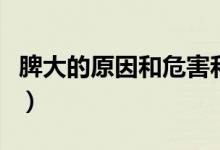 脾大的原因和危害和癥狀（脾大的原因和危害）