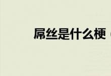 屌絲是什么梗（屌絲是什么意思）