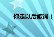 你走以后歌詞（你走以后歌曲簡(jiǎn)介）