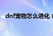 dnf寵物怎么進化（快把你的寵物進化吧）