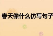 春天像什么仿寫句子（春天像什么怎樣仿寫）
