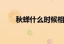 秋蟬什么時候相認(rèn)（秋蟬劇情簡介）