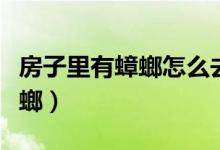 房子里有蟑螂怎么去除（怎么消滅屋子里的蟑螂）