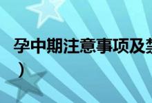 孕中期注意事項及禁忌(孕中期注意事項介紹)