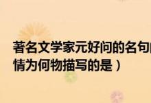 著名文學(xué)家元好問的名句問世間情為何物描寫的是（問世間情為何物描寫的是）