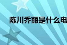 陳川喬麗是什么電視?。ǜ〕羷∏榻榻B）