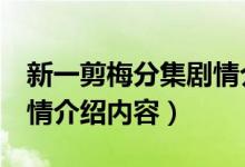 新一剪梅分集劇情介紹（新一剪梅1-5分集劇情介紹內(nèi)容）