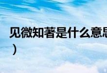 見微知著是什么意思（見微知著的含義是什么）
