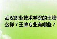 武漢職業(yè)技術(shù)學(xué)院的王牌專業(yè)有哪些（武漢職業(yè)技術(shù)學(xué)院怎么樣？王牌專業(yè)有哪些？）