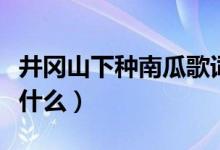 井岡山下種南瓜歌詞（井岡山下種南瓜歌詞是什么）