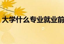 大學(xué)什么專(zhuān)業(yè)就業(yè)前景最好（比較好就業(yè)的）