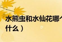 水熊蟲和水仙花哪個生命強（水仙花的特點是什么）