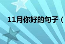 11月你好的句子（11月你好的句子精選）