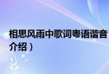 相思風雨中歌詞粵語諧音（相思風雨中歌詞及粵語諧音簡單介紹）