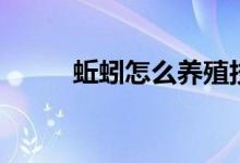 蚯蚓怎么養(yǎng)殖技術(shù)（蚯蚓怎么養(yǎng)）