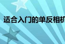 適合入門的單反相機（6款入門級單反推薦）