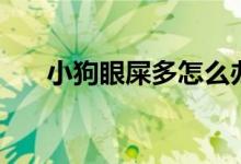 小狗眼屎多怎么辦（什么原因造成的）
