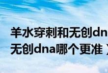 羊水穿刺和無創(chuàng)dna哪個(gè)比較準(zhǔn)(羊水穿刺和無創(chuàng)dna哪個(gè)更準(zhǔn))