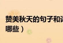 贊美秋天的句子和詞語（秋天的句子和詞語有哪些）