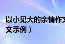 以小見大的親情作文（以小見大的親情作文范文示例）