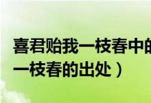 喜君貽我一枝春中的一枝春指的是（喜君貽我一枝春的出處）