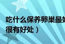 吃什么保養(yǎng)卵巢最好（這些食物對女性的卵巢很有好處）