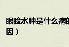 眼瞼水腫是什么病的癥狀（眼瞼水腫是什么原因）