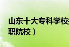 山東十大?？茖W(xué)校排名2022（山東最好的高職院校）