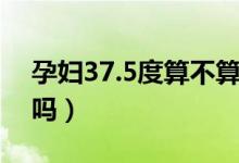 孕婦37.5度算不算發(fā)燒（孕婦37.5度算發(fā)燒嗎）