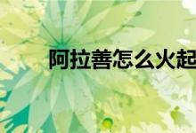 阿拉善怎么火起來（是因為這個嗎）