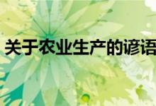 關于農(nóng)業(yè)生產(chǎn)的諺語(有關農(nóng)業(yè)生產(chǎn)的句子)